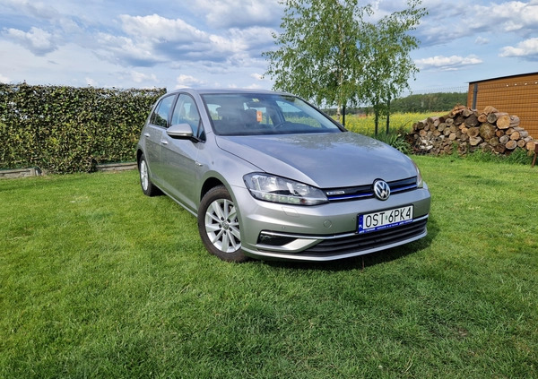 Volkswagen Golf cena 72000 przebieg: 32000, rok produkcji 2017 z Ciechanowiec małe 742